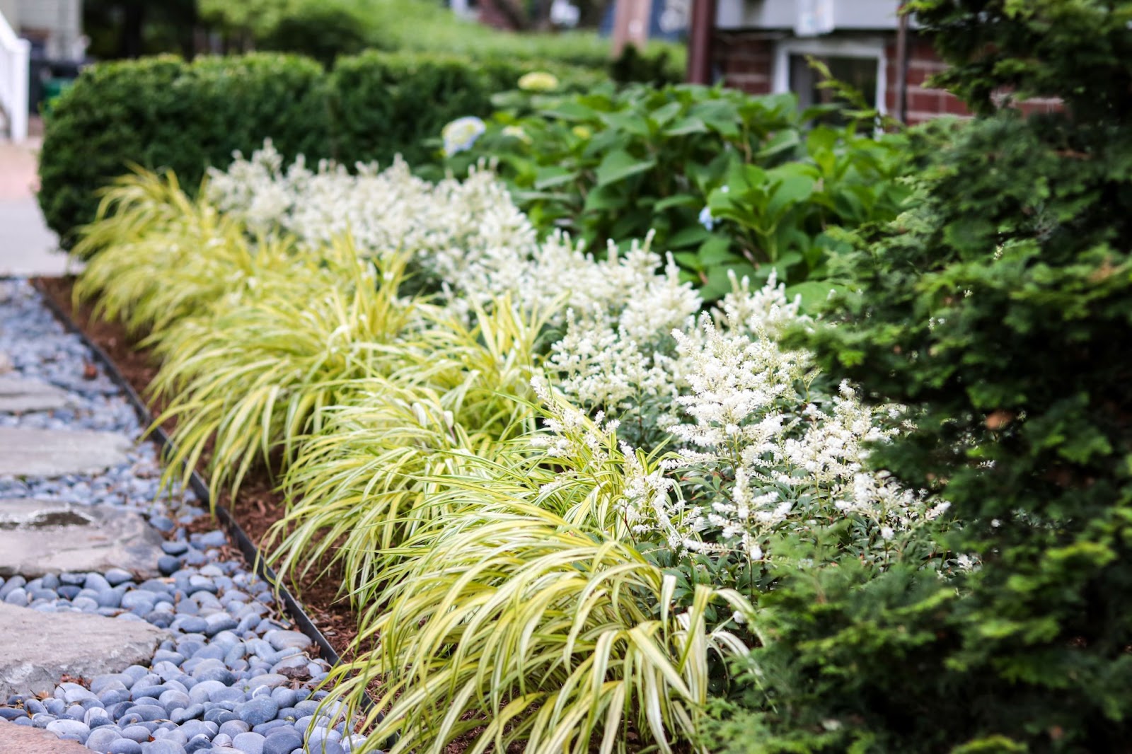 A landscape design features layered plantings in a small outdoor space