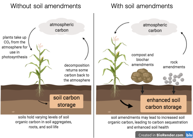 Soil Health, Soil Amendments, and Carbon Farming | USDA Climate Hubs