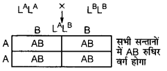 UP Board Solutions for Class 12 Biology Chapter 5 Principles of Inheritance and Variation 4Q.2.4