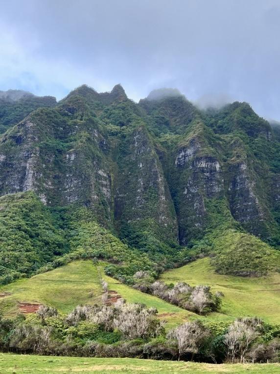 A green mountain with trees and clouds

Description automatically generated with medium confidence