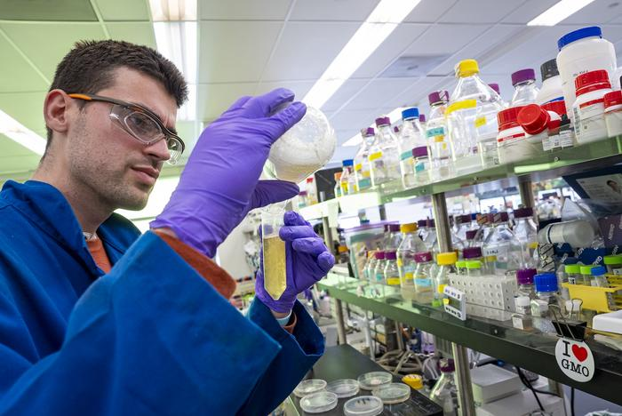 Bioengenheiro Vayu Hill-Maini no Laboratório Nacional de Berkeley. 