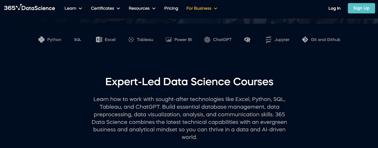 365 Data Science Review