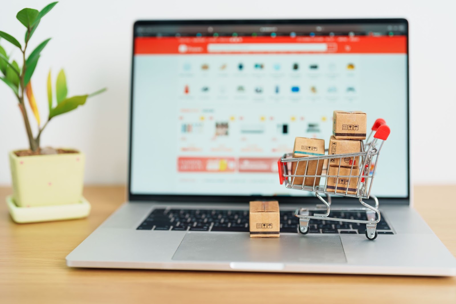 Key Components for Building a Successful Online Store
