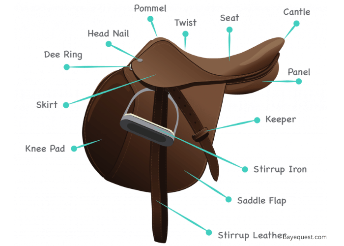 Parts of an English Saddle