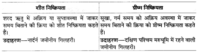 UP Board Solutions for Class 12 Biology Chapter 13 Organisms and Populations Q.10.1