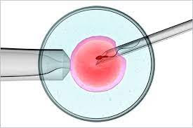 lucknow best ivf center