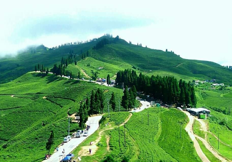 Beautiful Kanyam, Ilam: Eastern Nepal