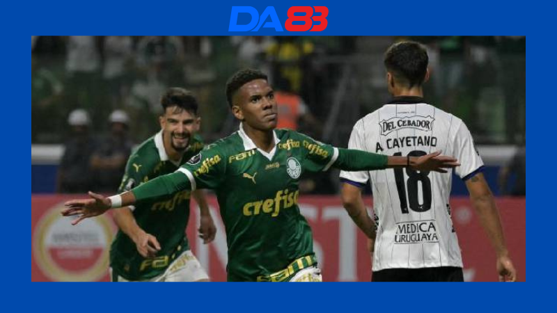 Phong độ của Fluminense vs Palmeiras 07h30 ngày 25/07/2024