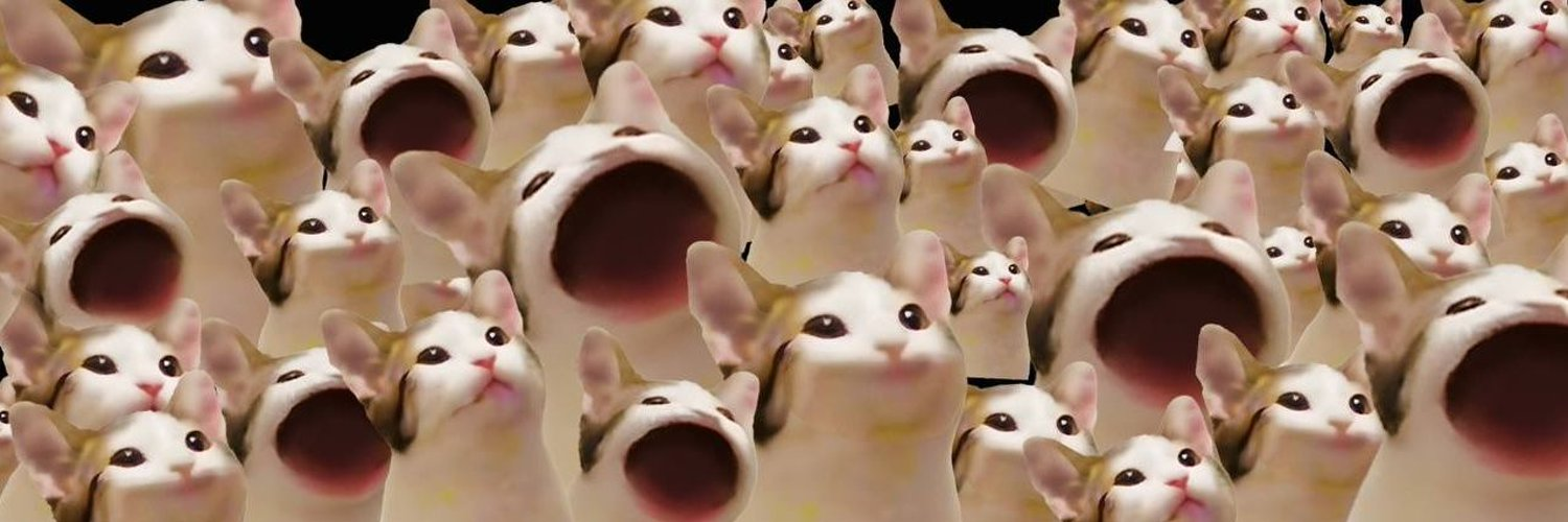 Bedah Kripto POPCAT ($POPCAT)