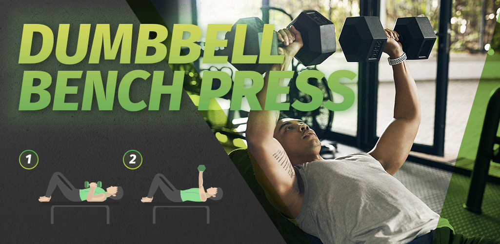 Dumbbells used for exercise hotsell