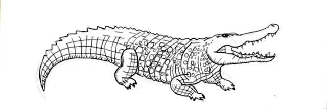 How to Draw Easy Realistic Alligator: A Step-by-Step Guide How to Draw Easy Realistic Alligator: A Step-by-Step Guide