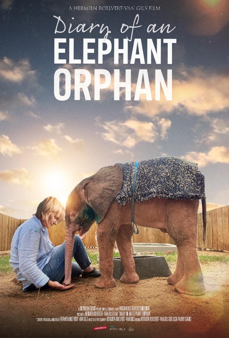 A person sitting on a baby elephant  Description automatically generated