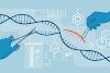  Genome Editing with CRISPR 