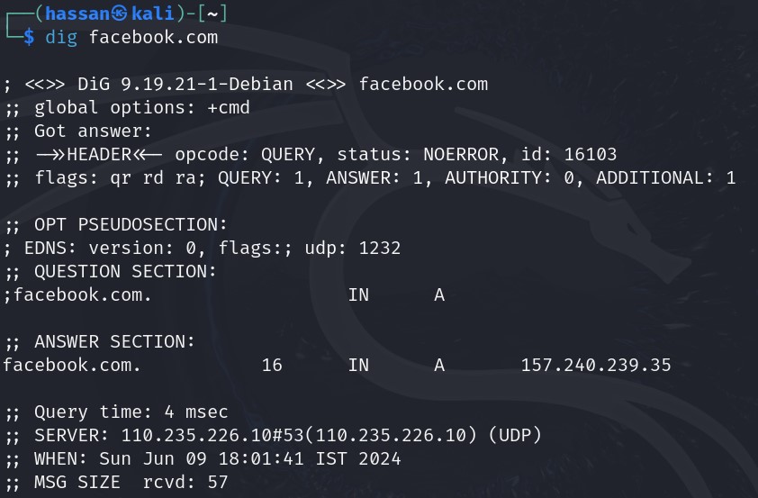 dig command in kali linux. Ethical Hacking Series [Part 2]: Mastering the Linux Command Line. Bash scripting and automation