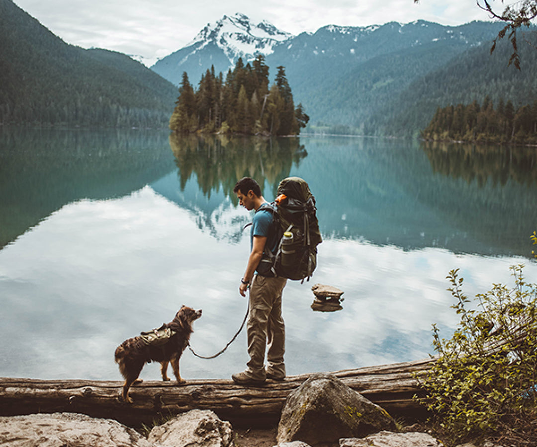 Solo Hiking With Dogs: The Ultimate Guide to Backpacking Pups.