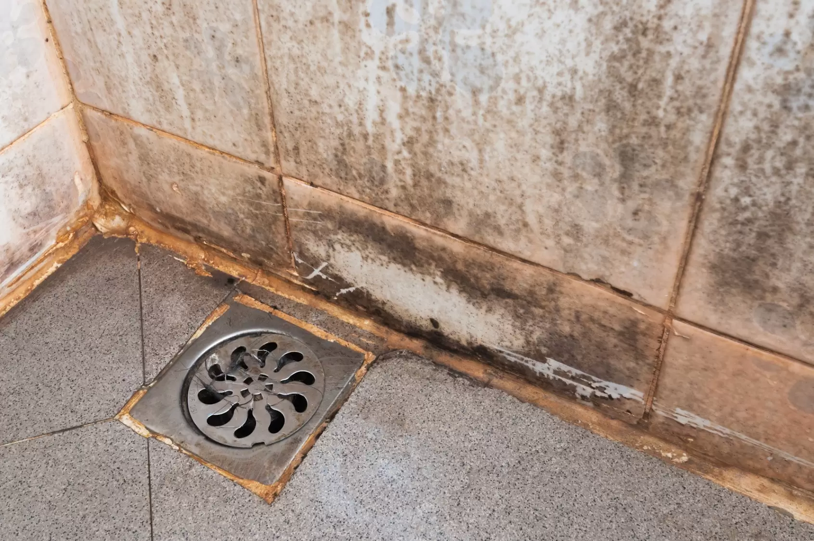 mold on shower caulk