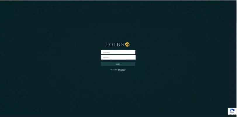 Understanding Lotus Book Master IDs