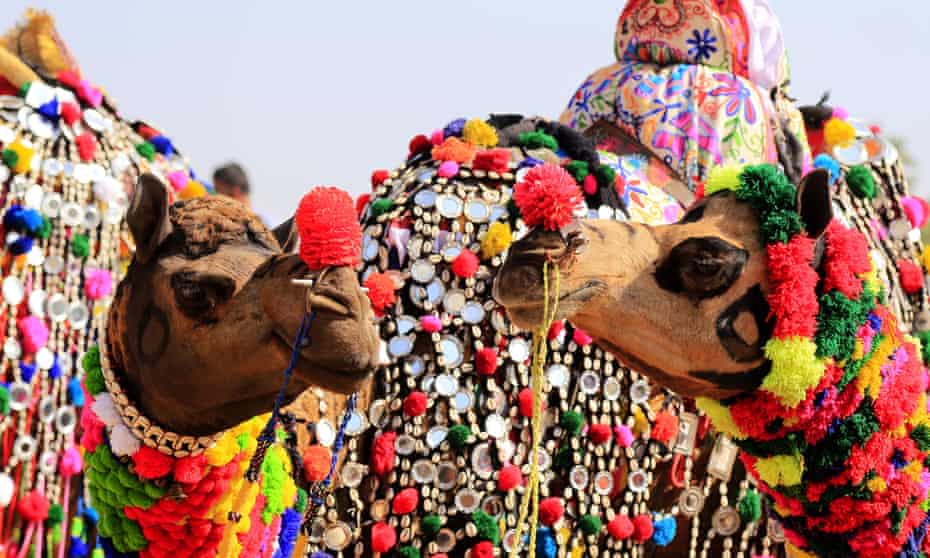 Pushkar camel fair