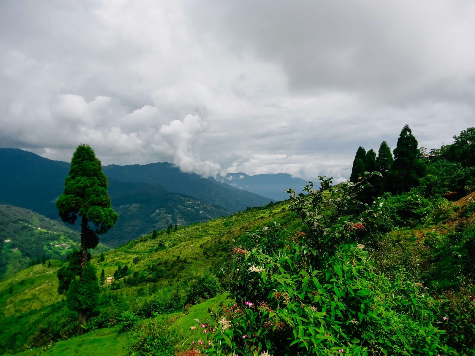  darjeeling tourist places