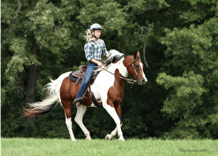 What is Western Riding?