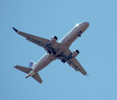 Air New Zealand OSL Terminal