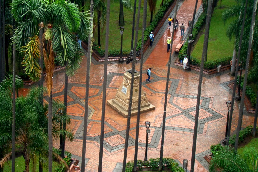 Top view of Plaza De Cayzedo surrounding long Palm trees.