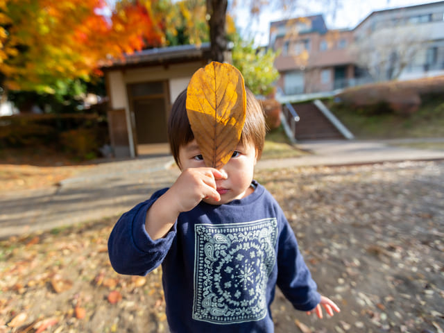 【11月】1歳児と楽しめるの秋遊び