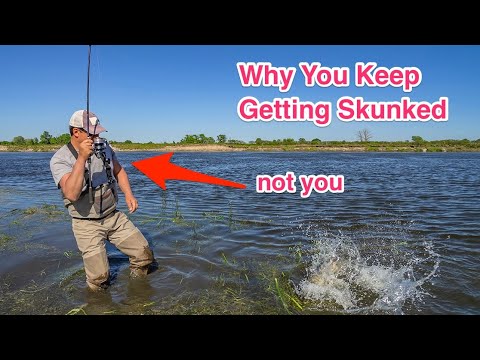 Skunked Fishing: Secrets to Avoiding a Zero-Catch Day