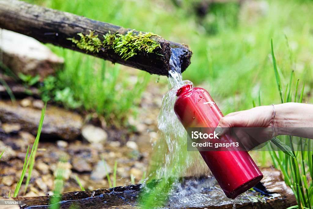 Heath and hygiene wood water bottle 2024