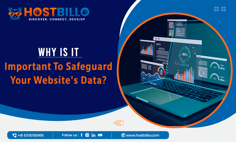 Why is it Important to Safeguard Your Website's Data?