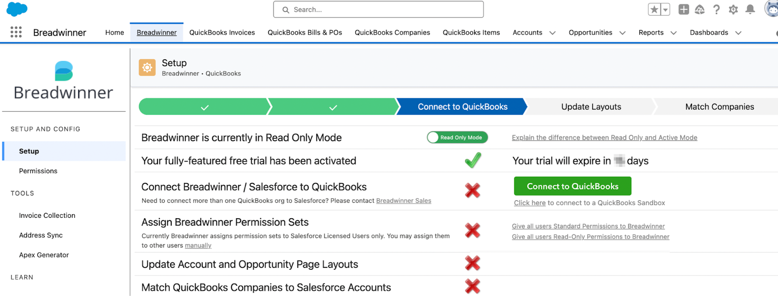 Breadwinner Setup page after Installation