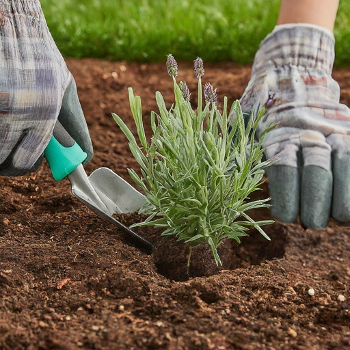 Planting Like a Pro: Spacing and Timing