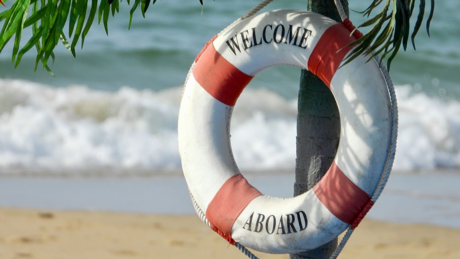 Ein Bild von einem Rettungsring am Strand