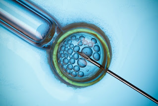 best ivf hospital in lucknow