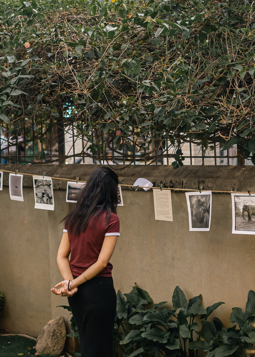 A woman with long dark hair, wearing a maroon shirt and black pants, stands with her back to the camera. She observes a series of black and white photographs hung on a rope against a concrete wall. The photos depict scenes of nature and animals. Above the wall, lush green foliage from trees overhangs the space. This outdoor exhibition creates an atmosphere of contemplation, connecting art and nature.
