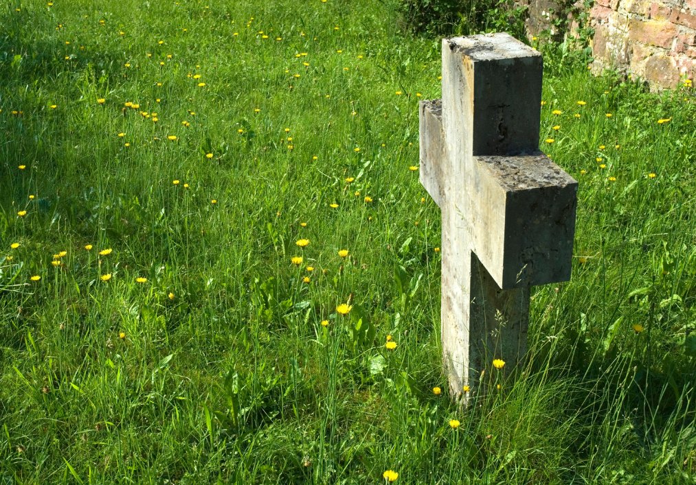 Rights And Restrictions For Survivors