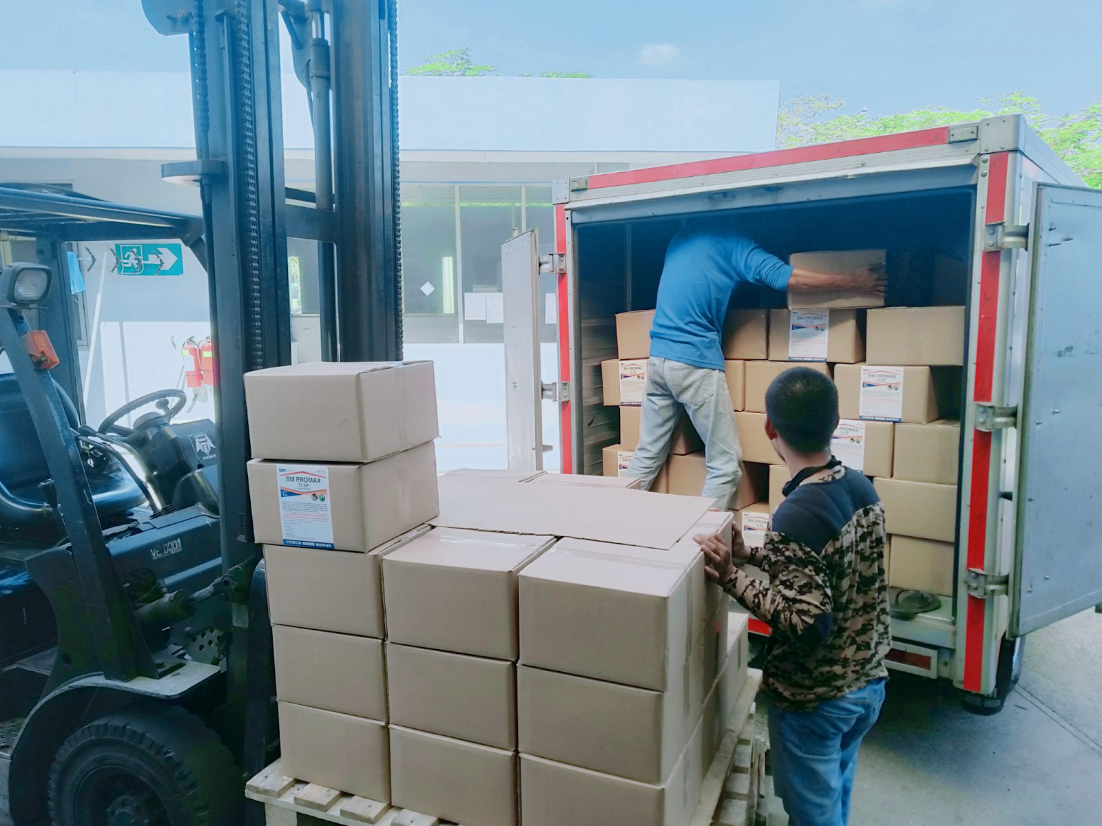 Dịch vụ bốc xếp hàng hóa là gì?