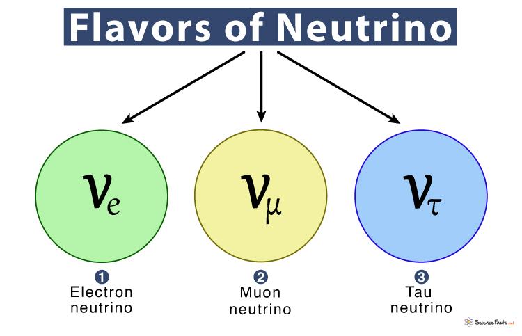 Neutrino - Definition, Mass, Symbol, and Flavors with Diagram