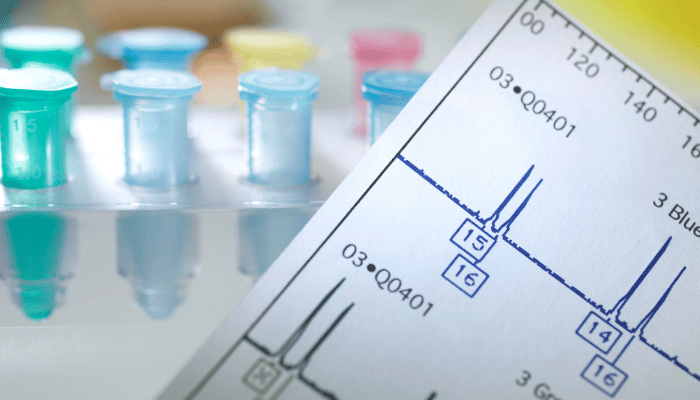 Interpreting the results of a gut microbiome test