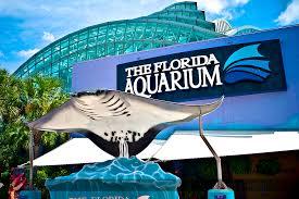 The Florida Aquarium – Rising Tides