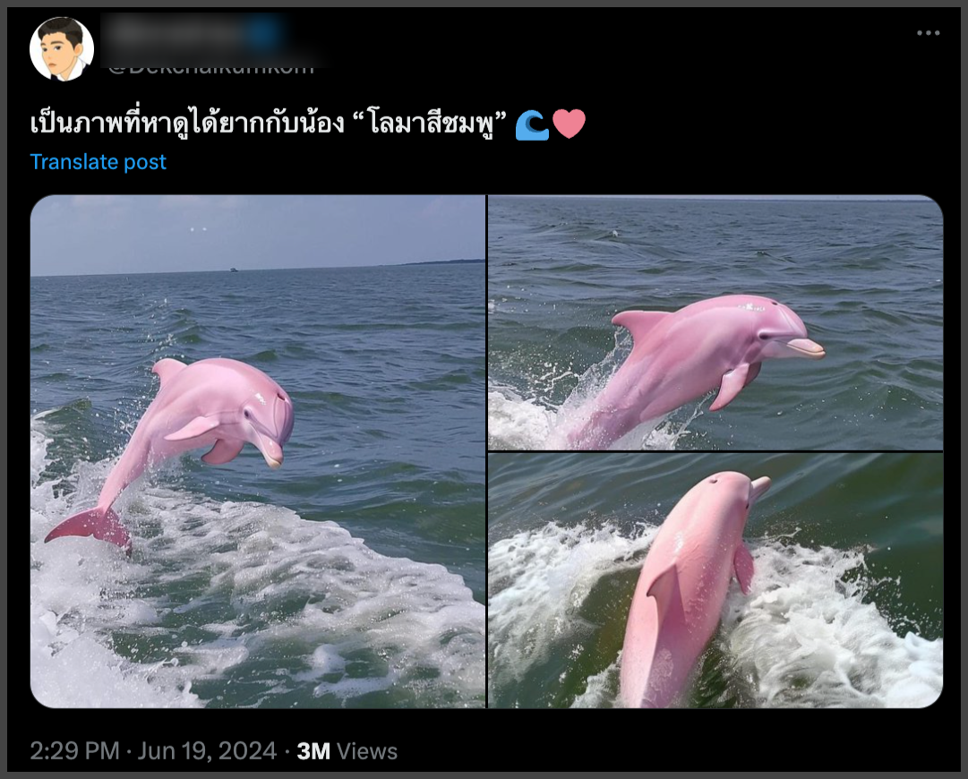 A pink dolphin jumping out of water  Description automatically generated