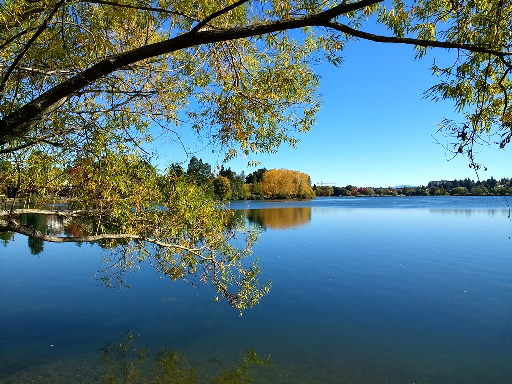 Clean and clear water of river and trees near the river 