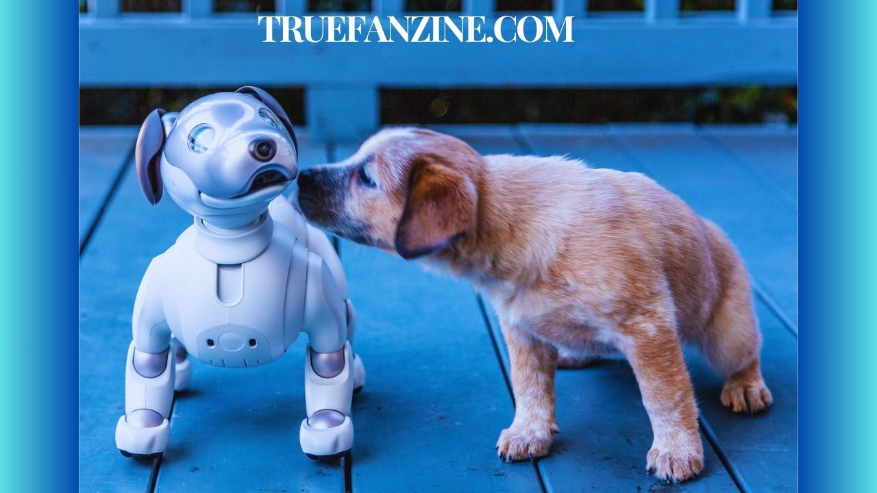 Dog and Robot