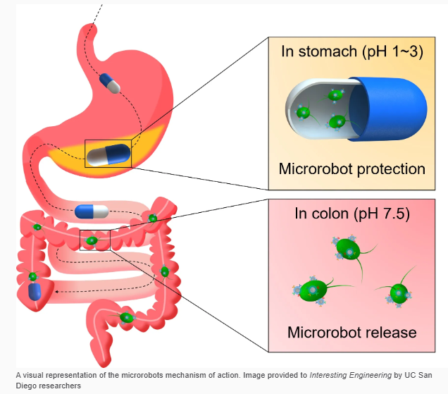 A diagram of a microbot protection

Description automatically generated