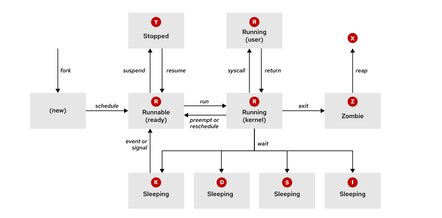 A diagram of a sleeping process

Description automatically generated