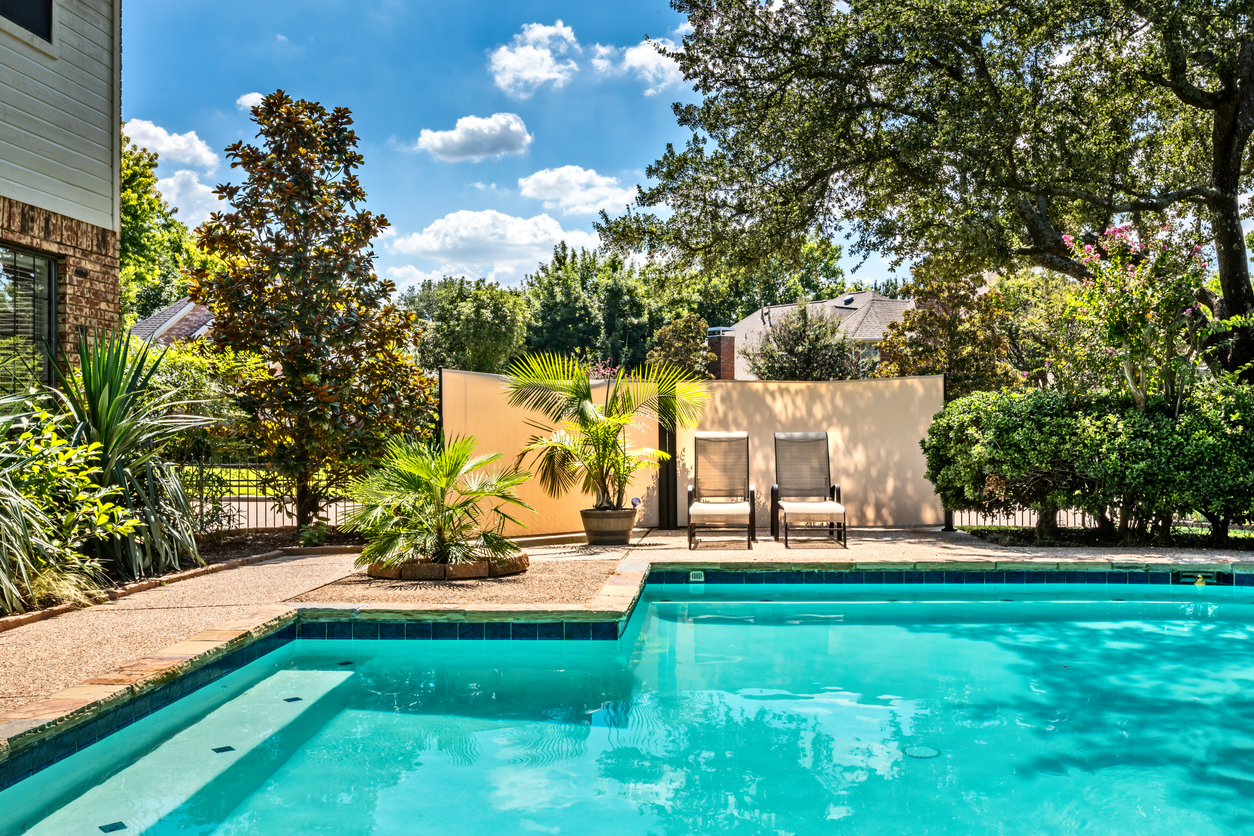 An in-ground swimming pool in a private residential backyard surrounded by desert plants on a sunny day.