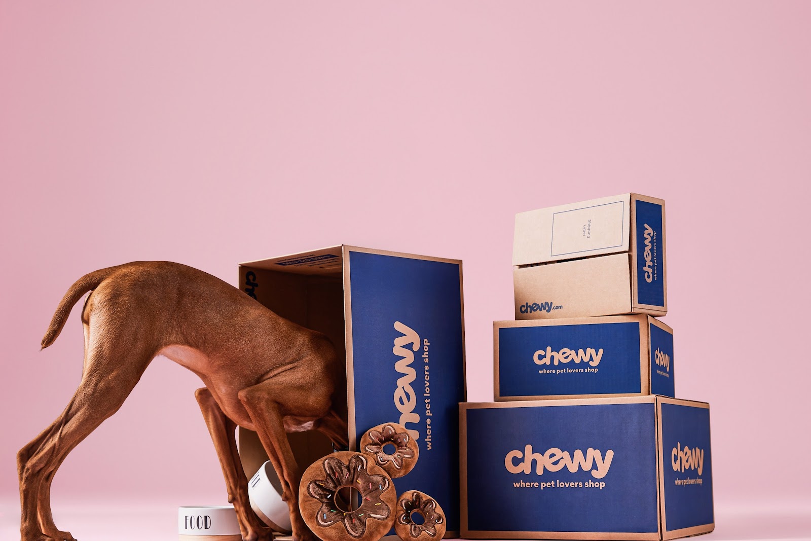 10 Best Chewy Blue Box Event Pet Deals (2022): Cat and Dog Supplies | WIRED