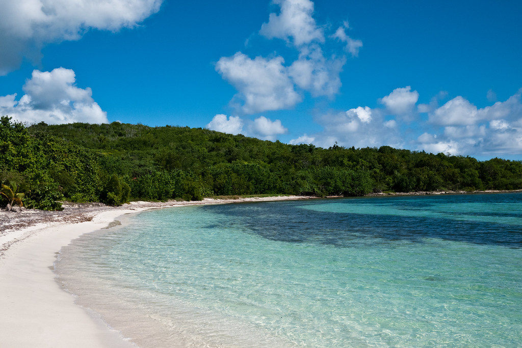 Emerald waters, white sands and lush forests on the beach.