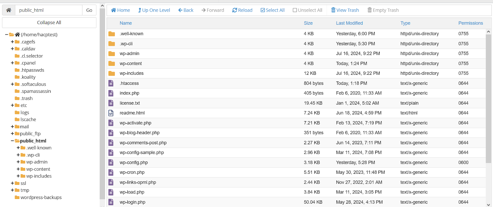 Public HTML folder in cPanel