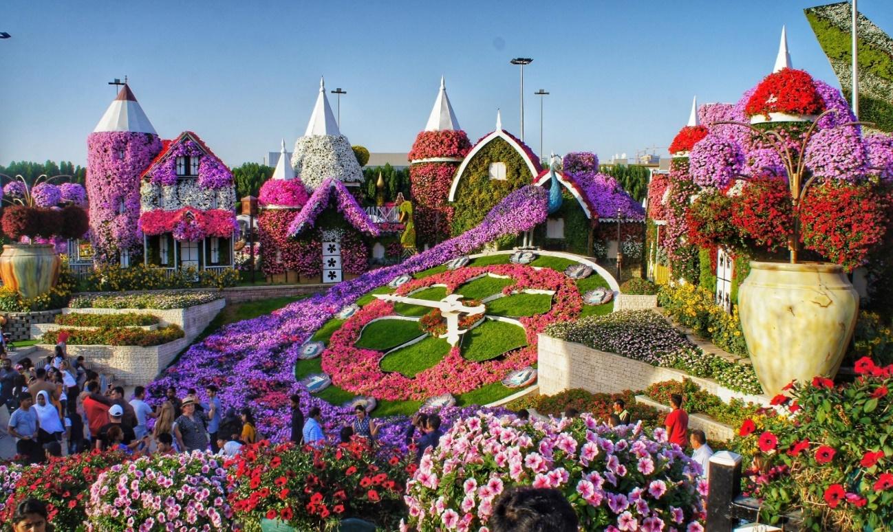 https://img.veenaworld.com/wp-content/uploads/2021/08/Dubai-Miracle-Garden-Timings-Location-and-Tickets-scaled.jpg